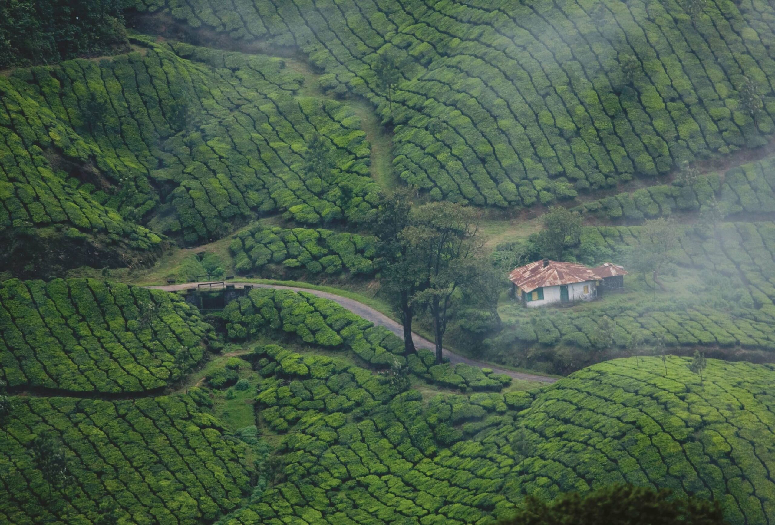 dream-holidays-Jqc2nOH3u3Y-unsplash (1)